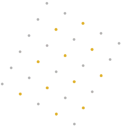 vector